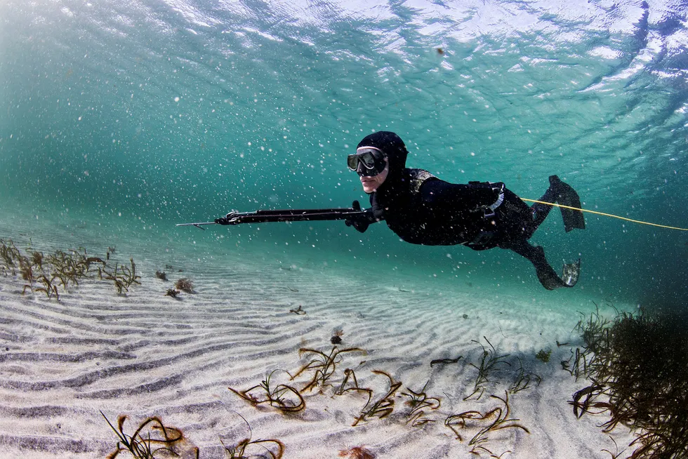 Fordelen med flaskeløs fridykking når man jakter under vann, er at det ikke er noen luftbobler som skremmer fisken. Christine Bendiksen (47), glir fremover over sandbunnen. Foto: Aleksander Nordahl