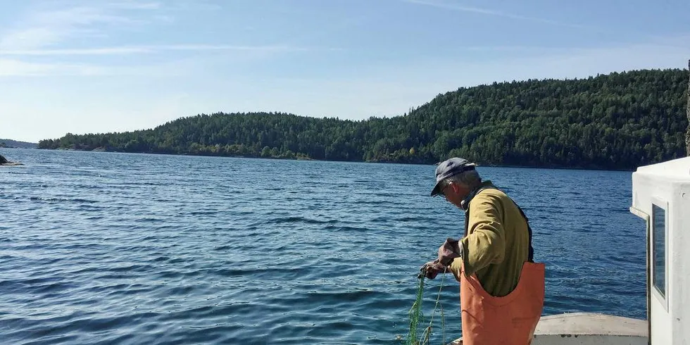 FORSØK: Helge Larsen i Risør er med på årets forsøksfiske etter ål. I løpet av livet som fisker har han fanget nesten 80 tonn. Foto: Caroline Durif/Havforskningsinstituttet