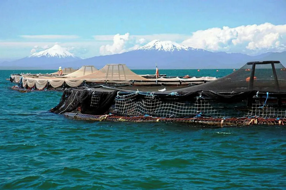 Marine Harvest Chile