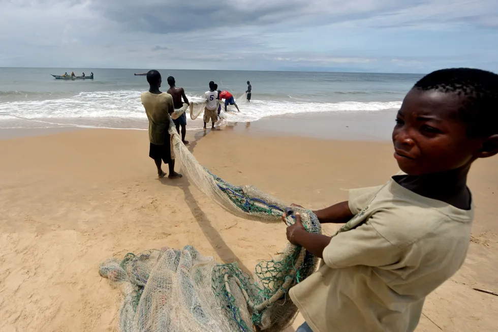 Reconnaissance permit: fishermen from Sierra Leone pull a net from the water in Freetown