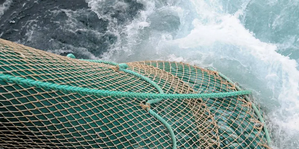 Det er en viktig oppgave havforskerne har når de skal gjøre sine vurderinger av fiskebestandene.Foto: Leif Nøttestad/Havforskningsinstituttet