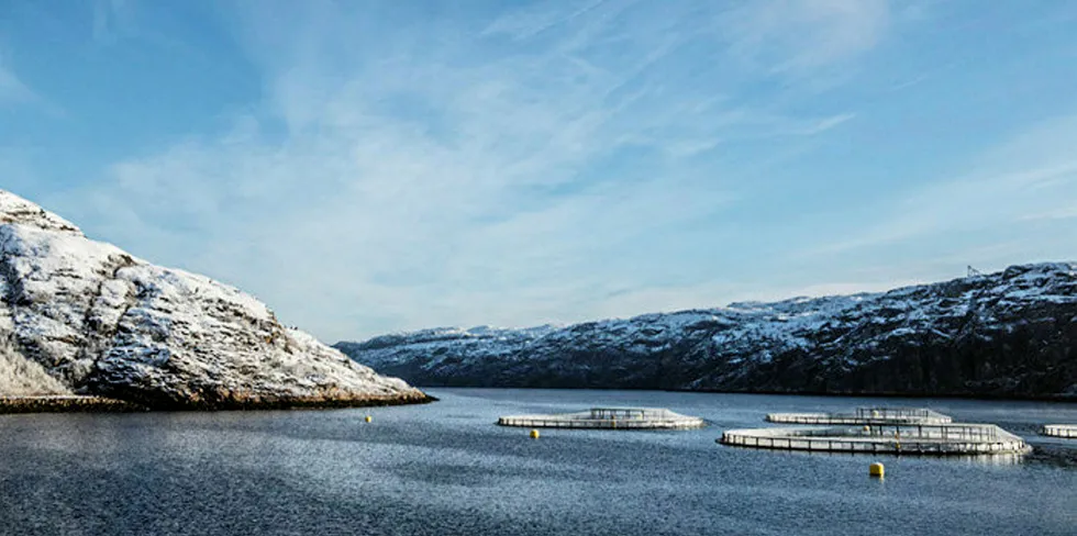 OPPKJØP: Russian Aquaculture kjøpte Villa Smolt gjennom selskapet Øyralaks AS i 2017. I fjor var selskapets første år med drift siden.