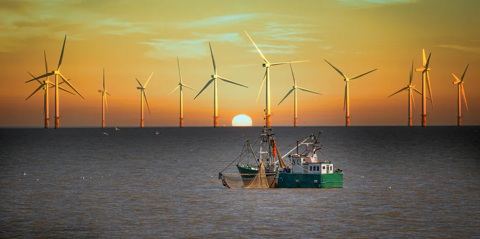 While fishermen in other parts of the world battle the establishment of offshore wind farms, an Irish fishing group is now cooperating on a wind farm project.