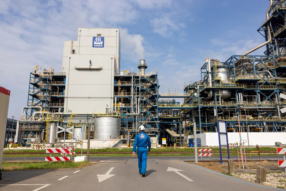 Yara kutter nå produksjonen av ammoniakk på europeiske anlegg til kun 35 prosent av produksjonskapasiteten. Her fra Yaras anlegg i Sluiskil i Nederland.