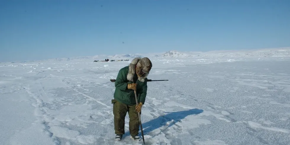 Klimaendringer får store følger for arktiske urfolk: Illustrasjonsfoto: Gunnar Sætra, Havforskningsinstituttet