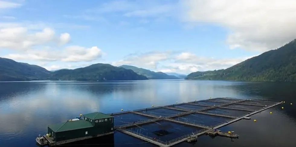 Mowi's Phillips Arm salmon farming site in British Columbia. A new industry association is fighting back against a Canadian government decision to phase out farms in the Discovery Islands region.