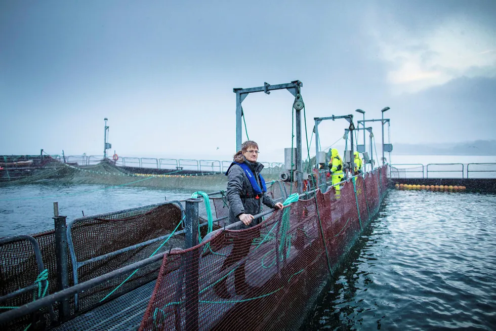 Inge Berg er gründer og eier av havbrukskonsernet Nordlaks. Datterselskapet Nordlaks Smolt fikk i starten av oktober besøk av Arbeidstilsynet som har gitt selskapet varsel om fem pålegg.