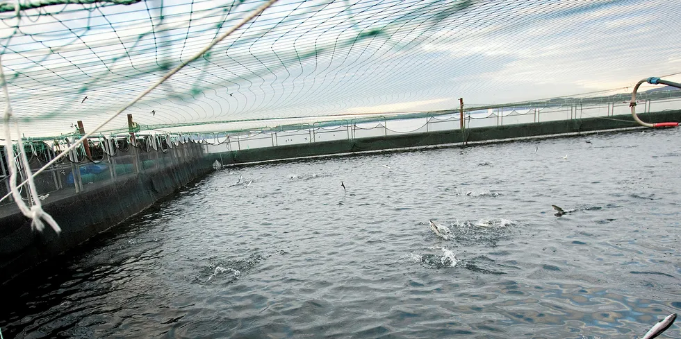 Fylkesmannen får også, på nærmere bestemte vilkår, myndighet til å pålegge permanent opphør av driften, vedta brakklegging, og reduksjon av MTB, etter samråd med Fiskeridirektoratet og Mattilsynet - i forslaget til nytt forurensningsregelverk.