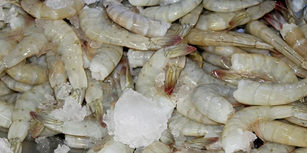 Better news for Ecuadorian shrimp.
