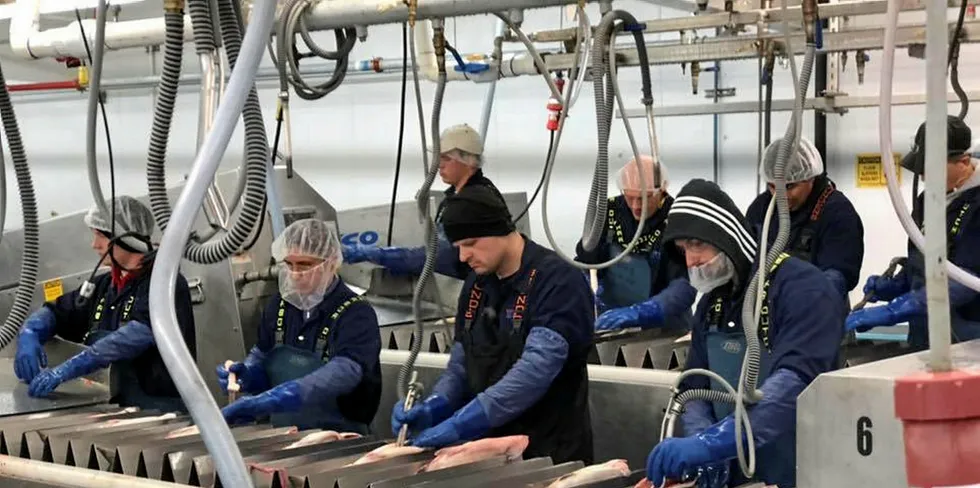 OBI's Wood River facility is one of the group's most modern, and produces critical fresh, high-value sockeye salmon primarily for the domestic US market.