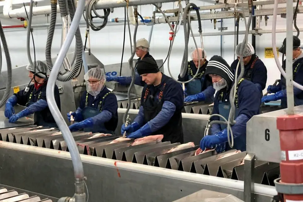 OBI's Wood River facility is one of the group's most modern, and produces critical fresh, high-value sockeye salmon primarily for the domestic US market.