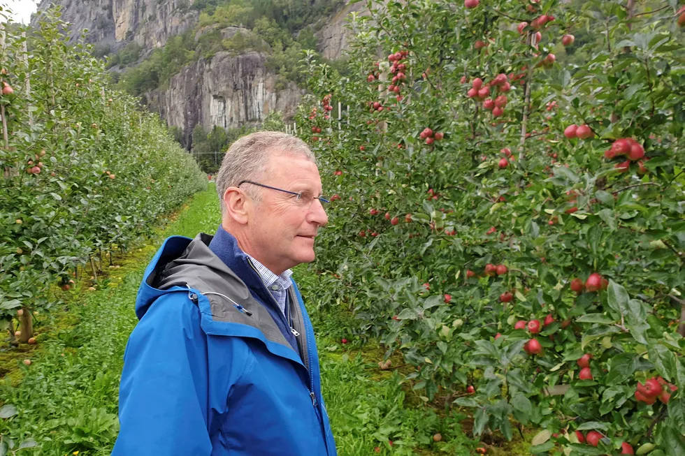 Andreas Kvame is the CEO of Oslo-listed salmon farmer Grieg Seafood.