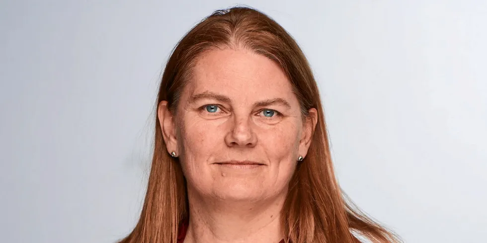 Ane Torvanger Brunvoll, seksjonssjef i NVE, vil fjerne dødtid og dobbeltarbeid.