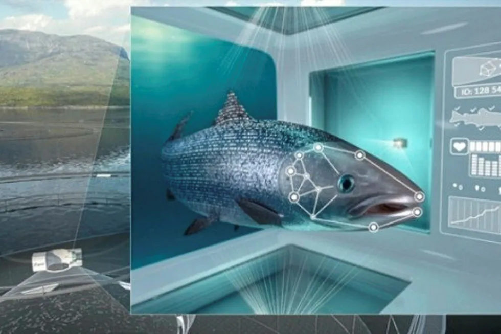 Cermaq Norway rethinking facial recognition salmon farm