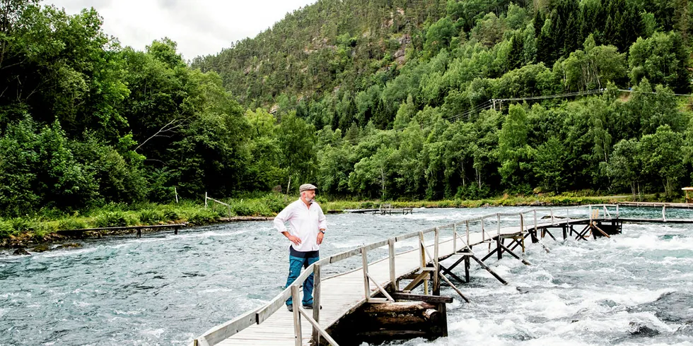 BEKYMRA: Knut Munthe Olsen er grunneier av den lakseførende strekningen av Årøyelva i Sogndal. Han er bekymra over mykje rømt oppdrettslaks i Sognefjorden.