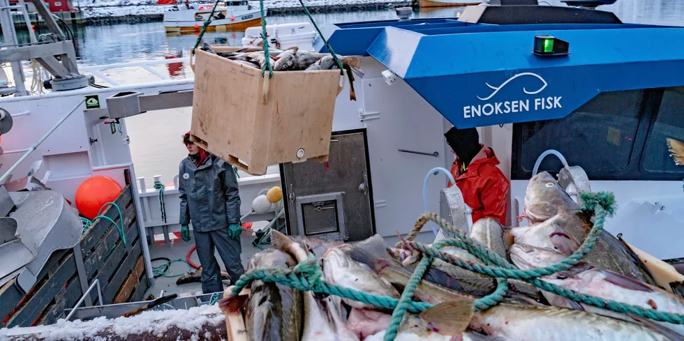 En rekke fiskere i åpen gruppe har solgt kvotene sine, men kan ikke nå kreve mer fisk til gruppen, mener Fiskeribladet.
