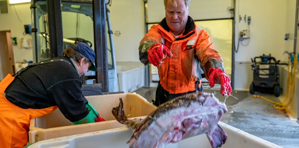 Fiskeridirektoratet er tildelt 10 millioner kroner fra Forskningsrådet. Pengene skal gå til teknologiske løsninger for automatisk fangstregistrering.