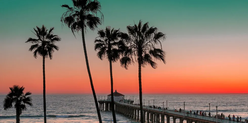Palm trees and pier at Manhattan Beach, California, looking out onto the Pacific Ocean