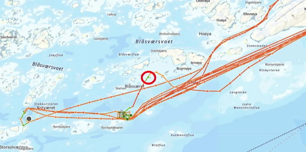 Bildet viser seilasene til arbeidsbåten «Kjellvågtind» før og etter grunnstøtingen 17. november 2023. Ringen viser omtrent der grunnstøtingen skjedde. Skjermdump fra Barentswatch.