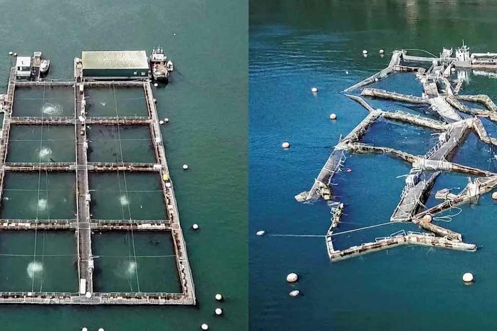 Cooke Aquaculture criticizes state's report on the Cypress Island net pen collapse.
