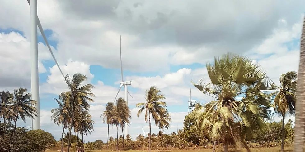 The Siemens Gamesa turbines of Pedra Cheirosa amid the coconuts and manioc