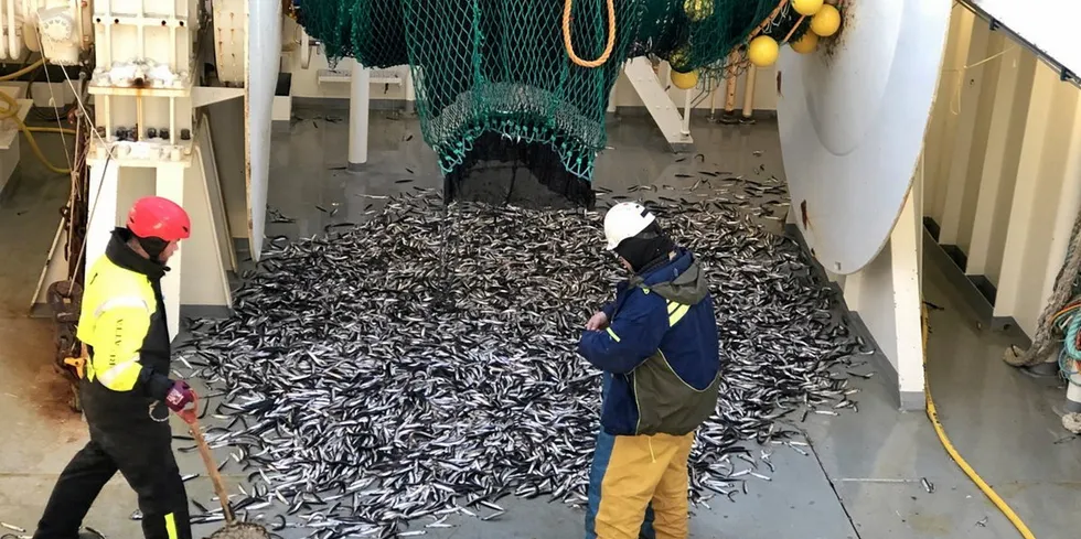 Fiskebåt har engasjert seg i forhold til justeringer av dagens høstingsregler på lodde, skriver Jan Ivar Maråk i Fiskebåt. Bildet er fra et av HIs loddetokt utenfor Vest-Finnmark.