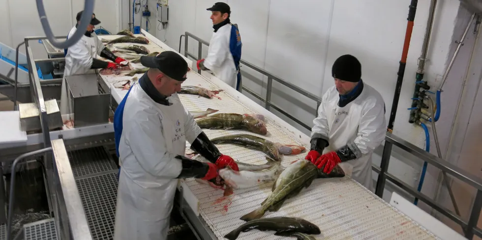 En større fleksibilitet rundt det å oppfylle bearbeidelsesplikten vil imøtekomme fiskeindustriens behov, mener fiskeriminister Odd Emil Ingebrigtsen (H).