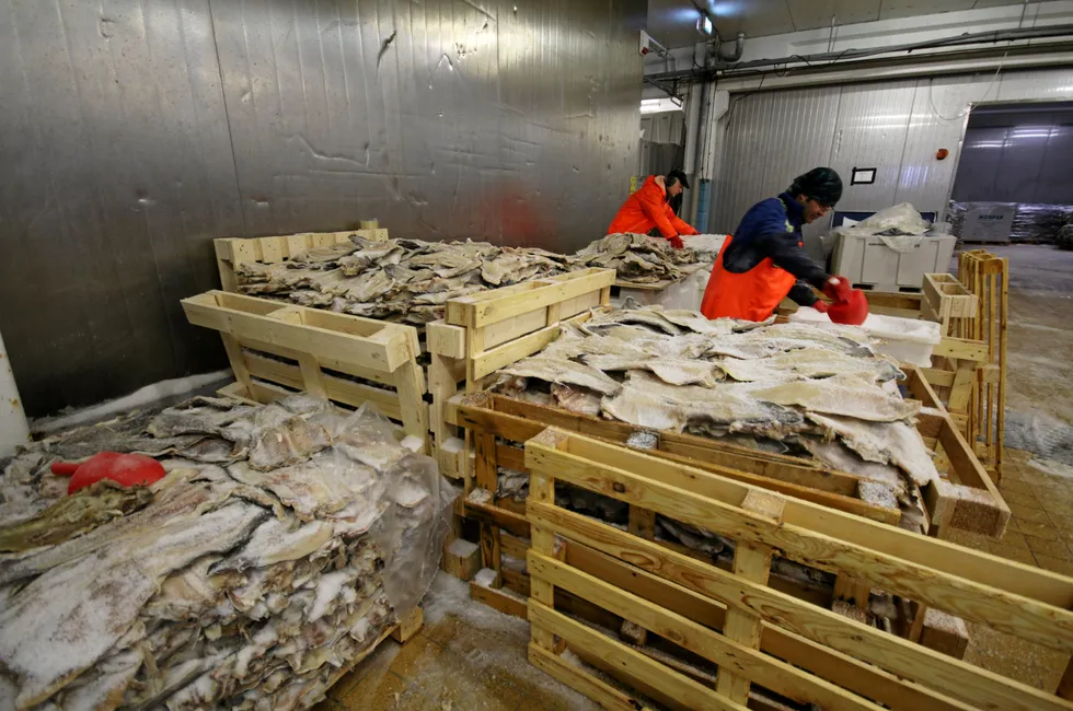 EUs antikorrupsjonsbyrå vil etterforske norske fiskeriselskap som kjøper russisk torsk og selger den tollfritt til EU. – Et mulig brudd på toll-reglene, mener EU.