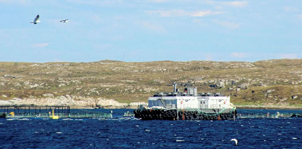 Måvøval Fiskeoppdrett på Frøya var blant dem som kjøpte vekst i auksjonene.