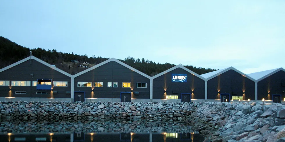 Lerøy Seafood Groups settefiskanlegg i Belsvika i Hemne kommune i Sør-Trøndelag. Foto: Anders Furuset