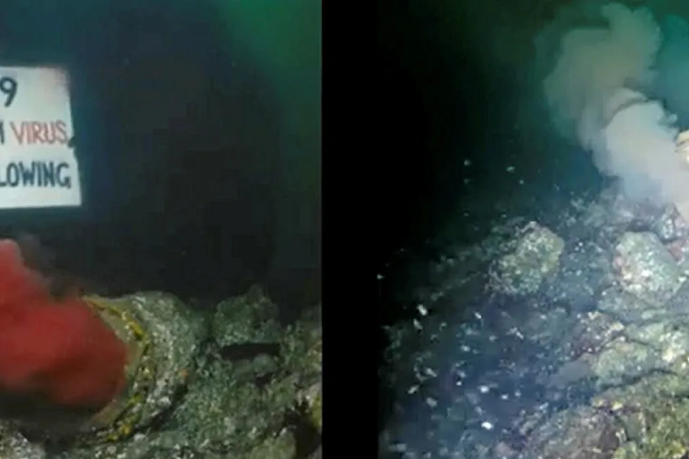A side-by-side comparison of activist Tavish Campbell's video taken of the pipe earlier this fall, and Brown's Bay Packing's footage released in December.