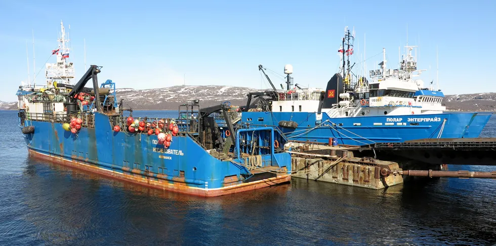 Russiske fiskeriselskaper kan snart få krav om kun 25 prosents utenlandsk eierandel. På bildet russiske snøkrabbebåter i Kirkenes.