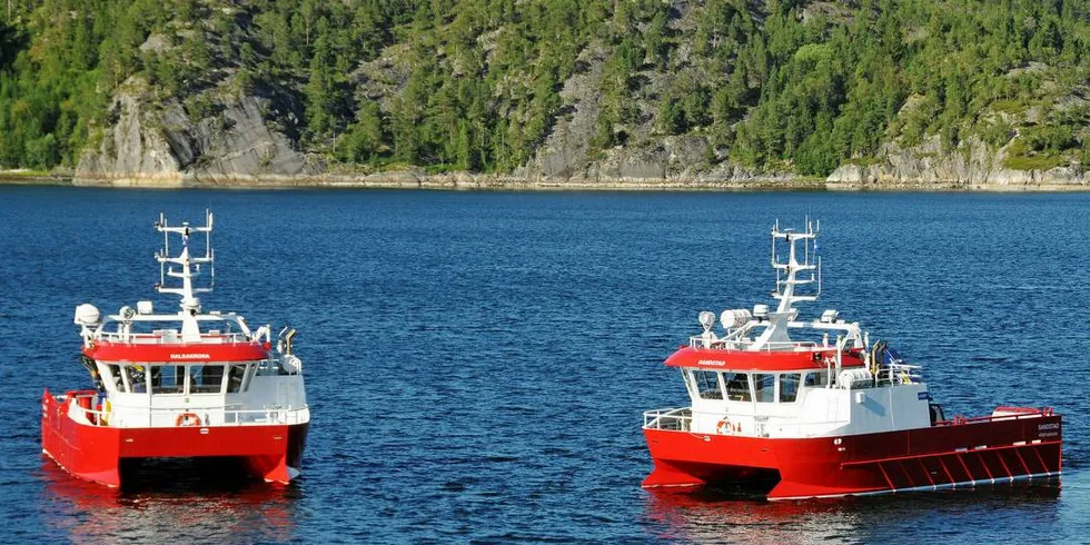 NYBYGG: Moen Marin leverer fire identiske NabCat-fartøy til Lerøy Midt. Her er «Sandstad» og «Halsakrona» som ble levert i august.Foto: Moen Marin