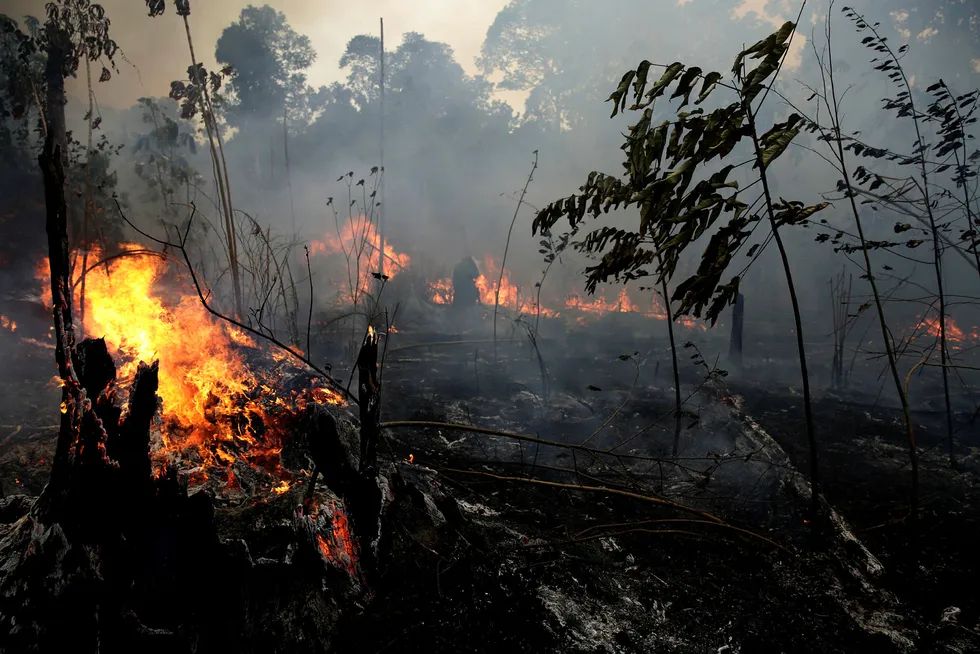 Brasils regjering opplever økende internasjonalt press som følge av brannene i Amazonas.
