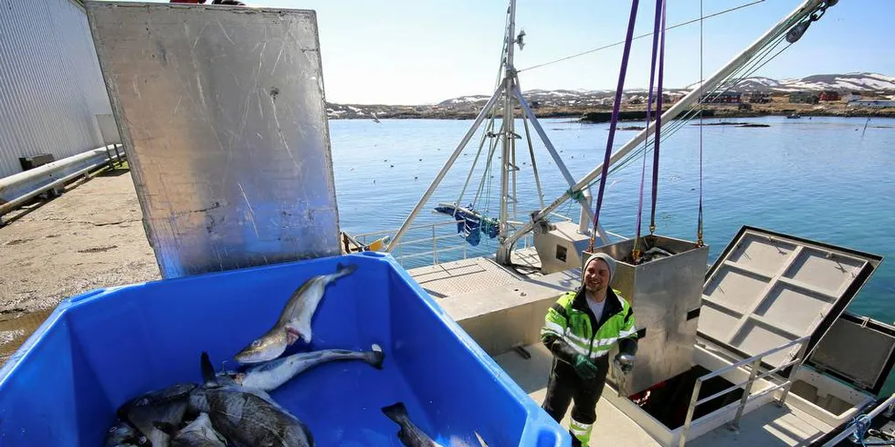 PRIORITERES: Fisker Ivo Poga på båten «Leah Marie» leverer båtens Hjeltnes-kvote til Gamvik Seafood. Men er det riktig at Finnmark skal prioriteres fremfor resten av kysten, spør Fiskeribladet på lederplassFoto: Arne Fenstad