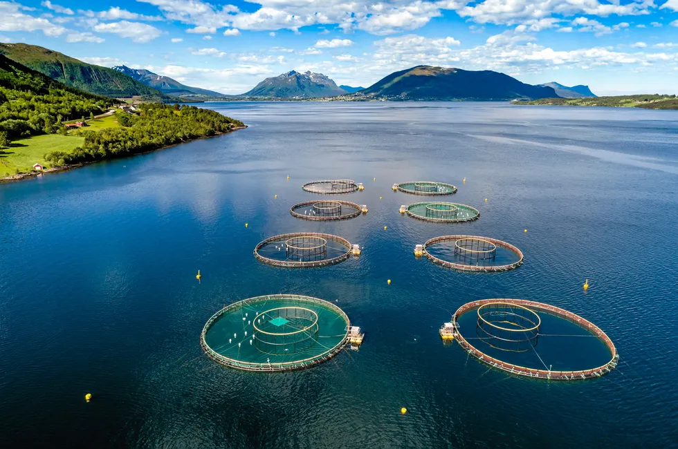 The latest suspected outbreak of ISA adds to a spate of cases that is causing concern in the Norwegian salmon farming industry. The picture is not related to the article.