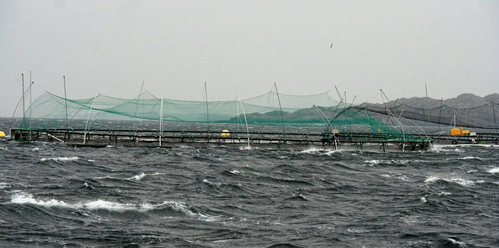 Norway Royal Salmon forventer fortsatt høye slaktekostnader i Sør-Norge. Her fra selskapets anlegg utenfor Bømlo.