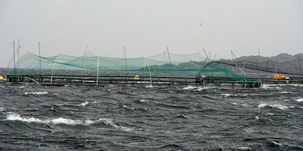 Norway Royal Salmon har blant annet oppdrettsanlegg utenfor Espevær på Bømlo i Sunnhordland.