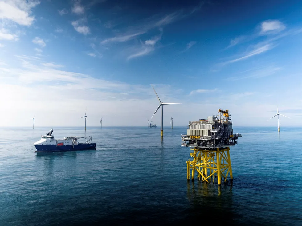 I Norge har vindkraft til havs blitt pekt på som en industrimulighet og en løsning for å unngå konfliktfylte utbygginger på land. Den skotske organisasjonen for hvitfiskprodusenter SWFPA advarer.