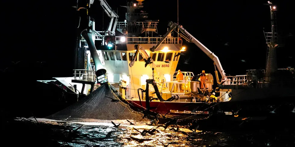 Her er kystnotbåten «Johan Berg» fra Lofoten i sving med sildefiske inne på Kvænangen.