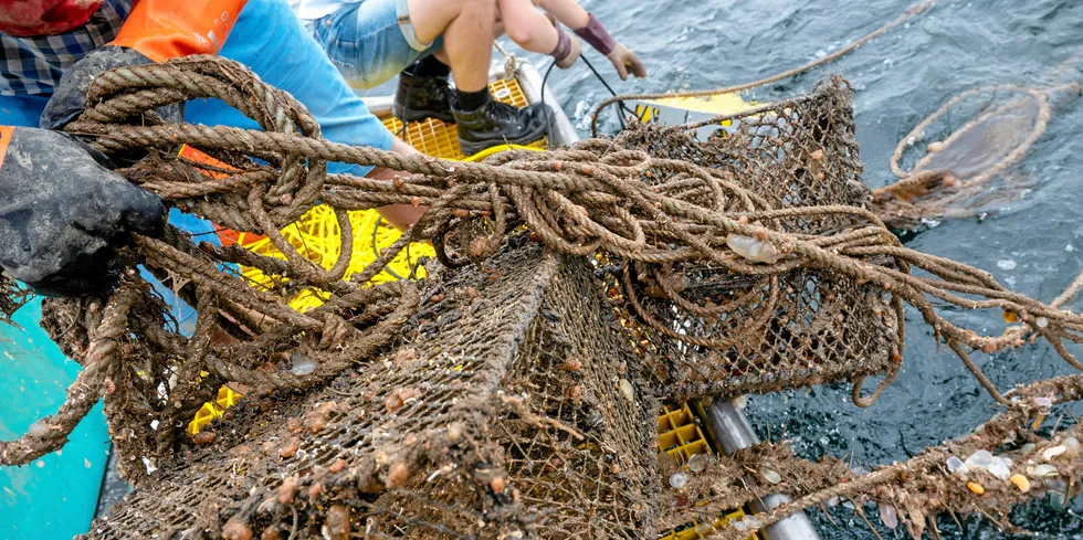 Fiskerimyndighetene vil nå ha merker på teiner og ruser for å komme i kontakt med eier dersom redskapene er mistet. Her hjelper Havforskningsinstituttet til med å renske bunnen for tapte fiskeredskaper utenfor Arendal.