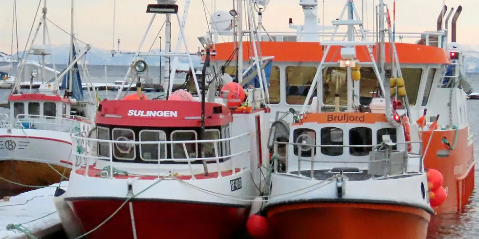 BASE: Takket være fiskebruket like sør for byen er Harstad blitt base for en flåte av fremmedbåter som driver lokalt seifiske i Sør-Troms i påvente av torskesesongen. Nærmest ligger «Ariel», «Sulingen» og «Brufjord».