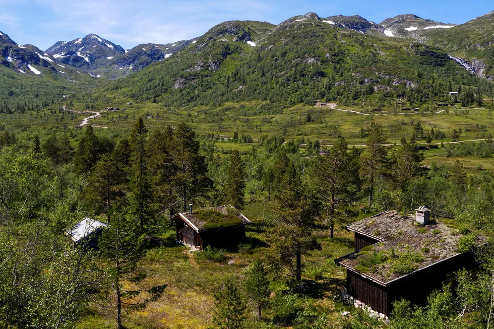 «Nystøyl» er et av to hyttetun som inngår i fjelleiendommen i Telemark, som brødrene Gunnar Frederik og Olav Hindahl Selvaag ga 11 millioner kroner for i august.