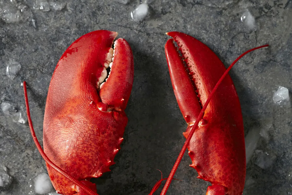 Lobster exports saw gains through May.