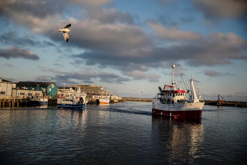Norske fiskefartøy drar inn fisk og skalldyr til rekordhøye verdier (illustrasjonsbilde). Foto: Per Thrana