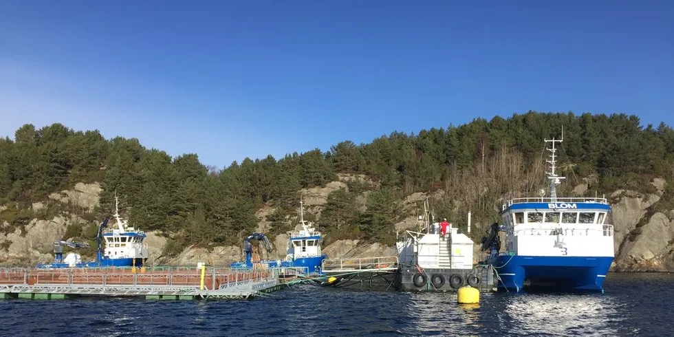 Blom Fiskeoppdrett i Laksevika. Foto: Privat