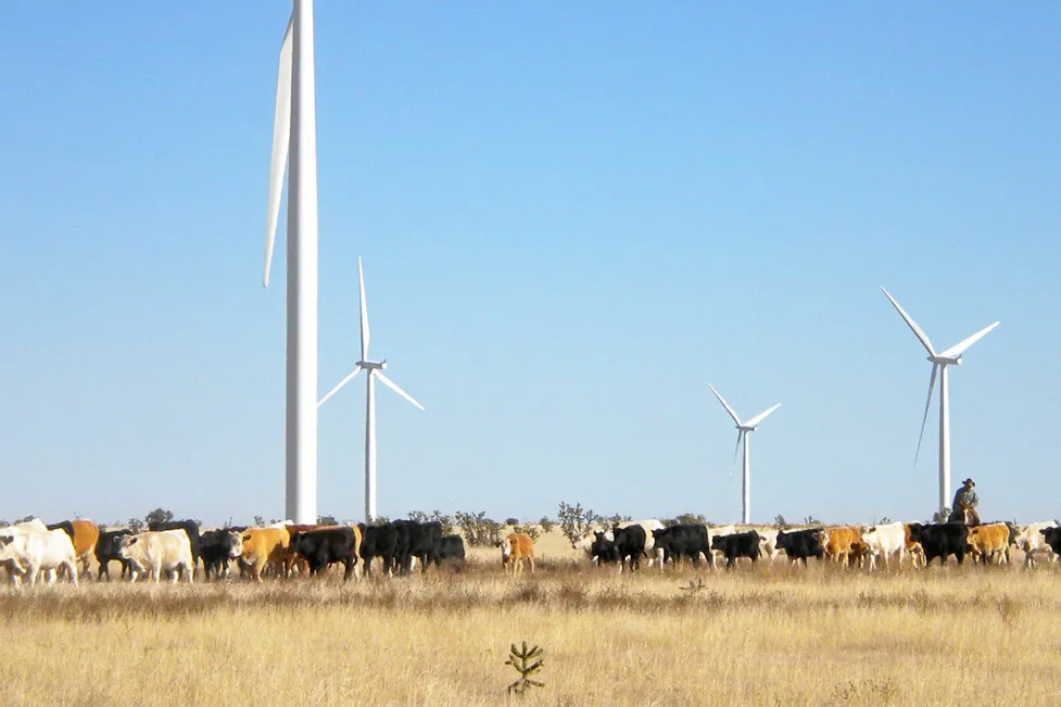 Power to the cattle: a Clearway wind farm in the US