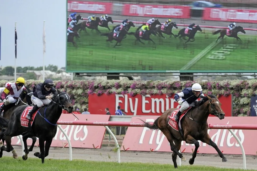 Not likely to ban this: the Melbourne Cup is hugely important to the state of Victoria