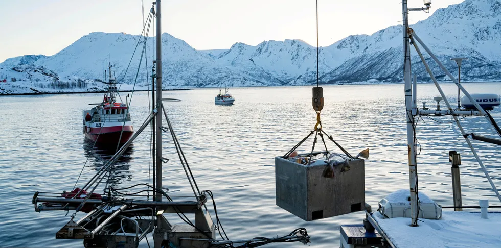 Den uinnvidde leser vil etter å ha lest nevnte kapittel i rapporten, sitte igjen med det inntrykket at det er bare de som er av samisk avstamming som er blitt påvirket eller rammet av denne utviklingen, skriver Jarl Hellesvik.