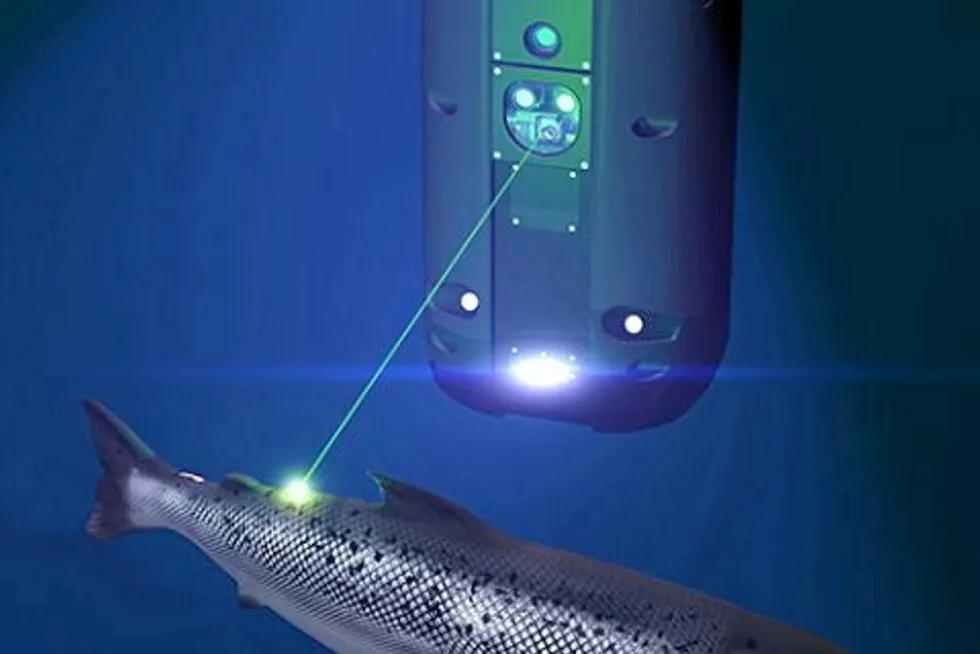 The light lasers are produced by Stingray Marine Solutions who is looking to expand the collaboration with Cermaq significantly in the future.